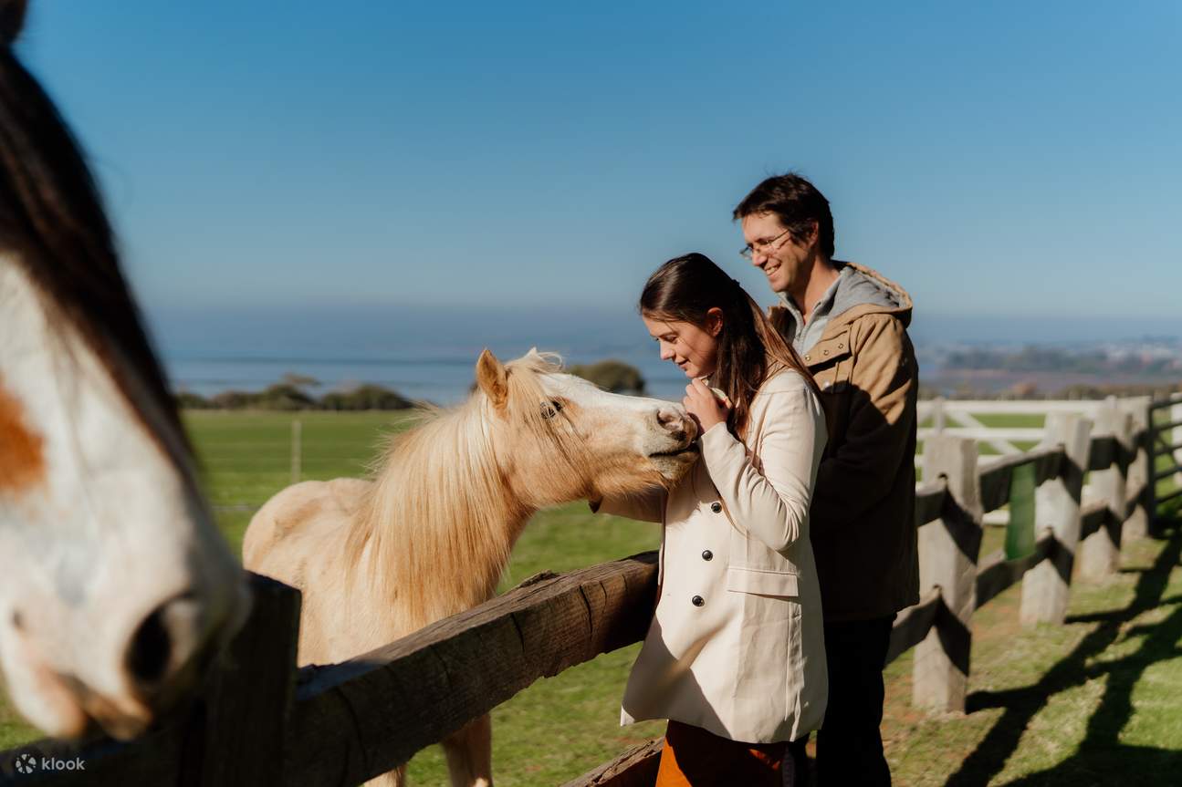 Vé Tham Quan Đảo Churchill ở Đảo Phillip