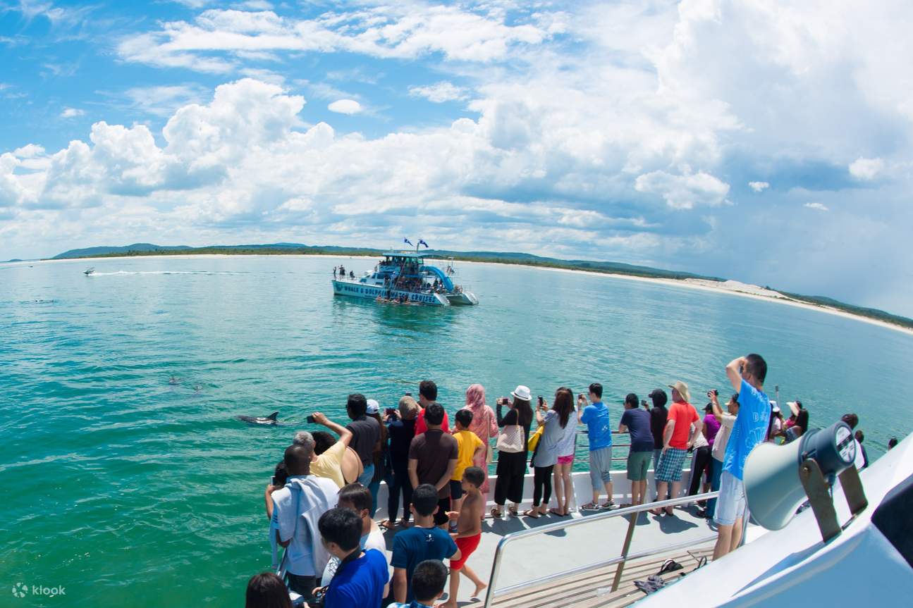 Splash And Slide Dolphin Cruise Experience in Port Stephens Klook