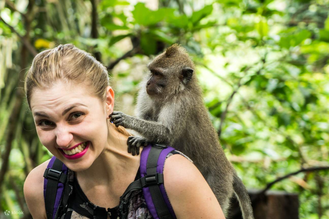 Bosque de monos de Ubud