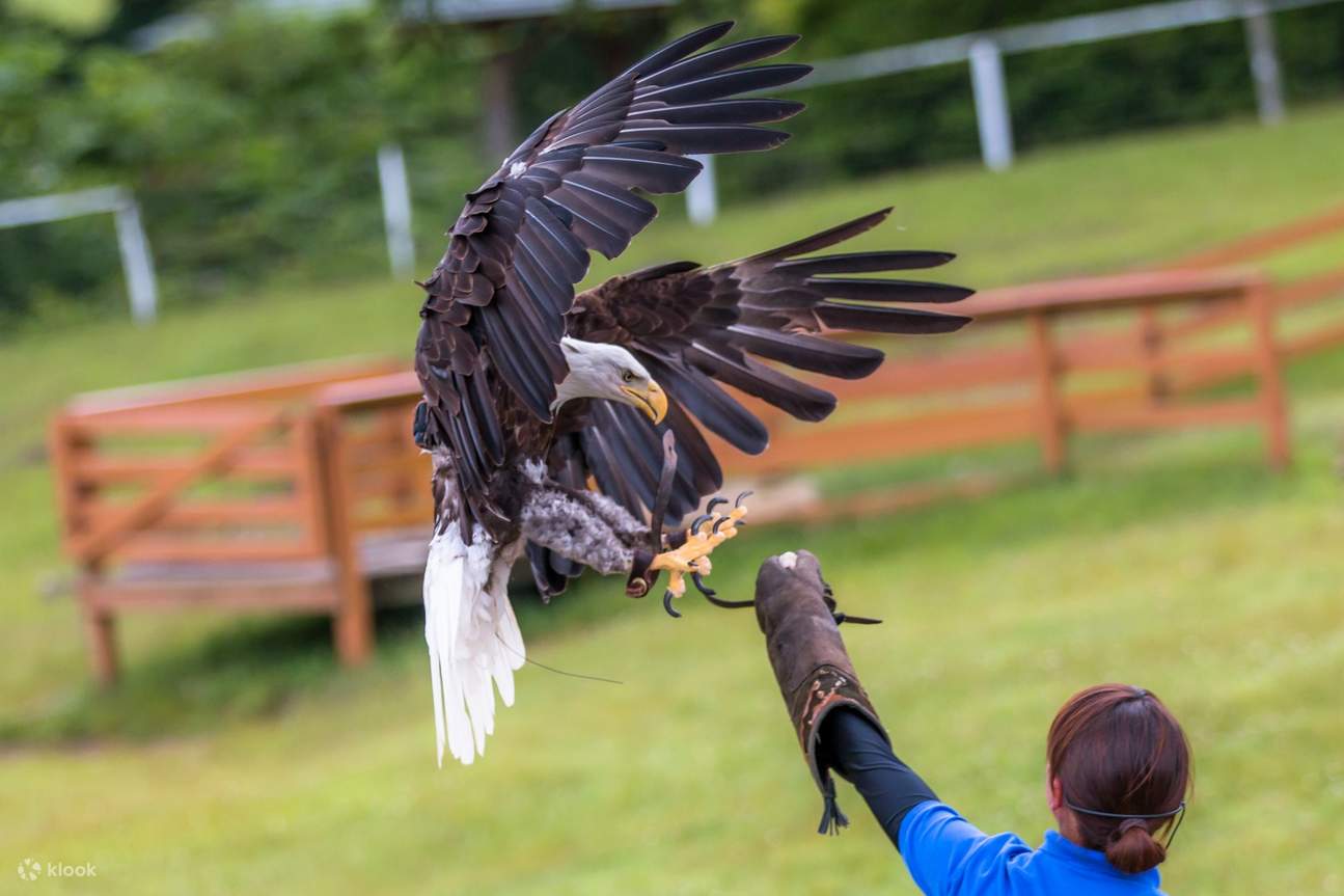 Regno Animale di Nasu