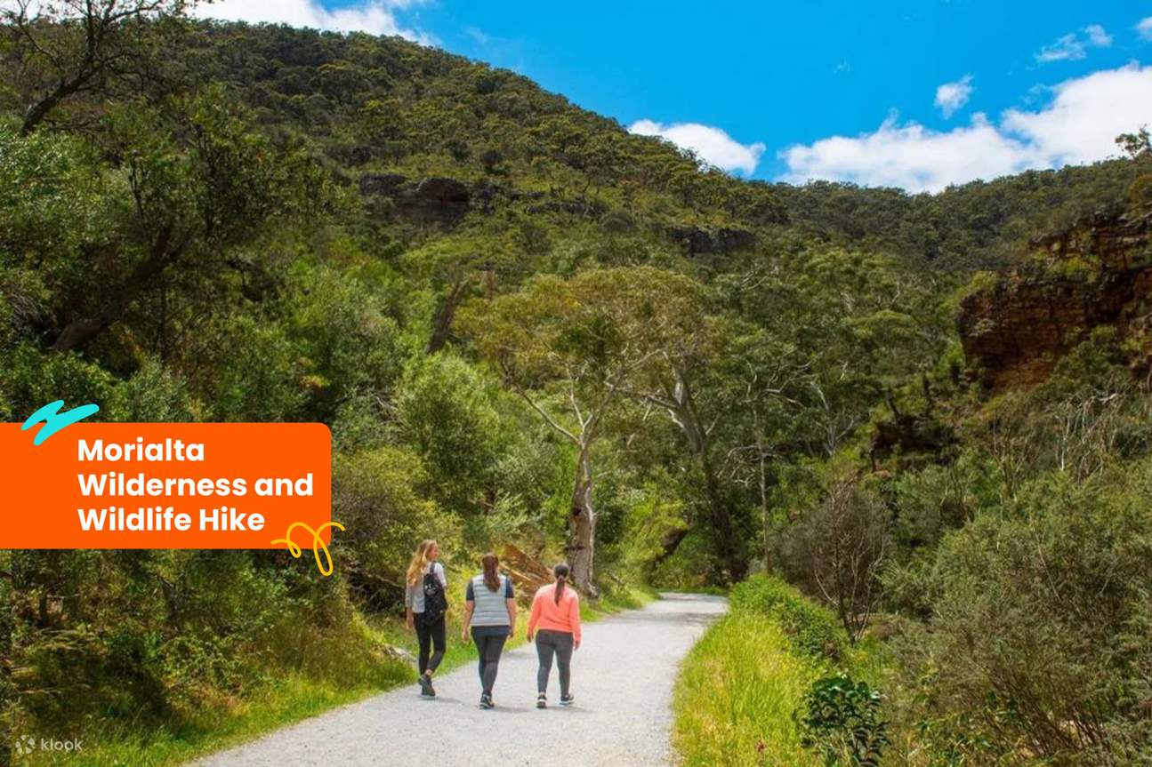 야생 동물 하이킹