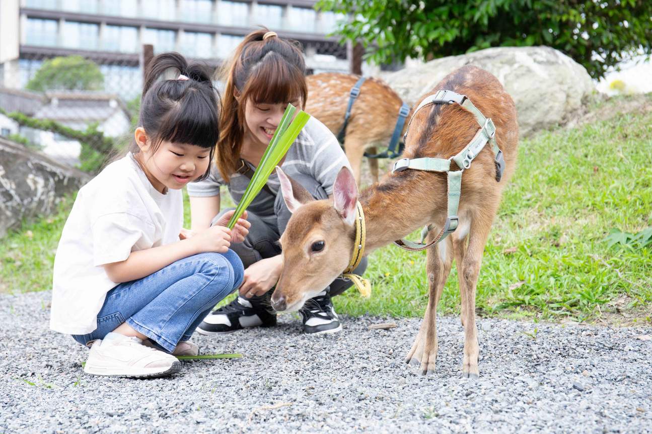 Green舞 Japanischer Themenpark