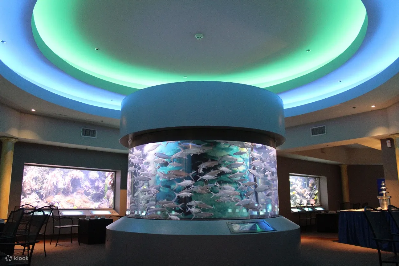 关岛水族馆