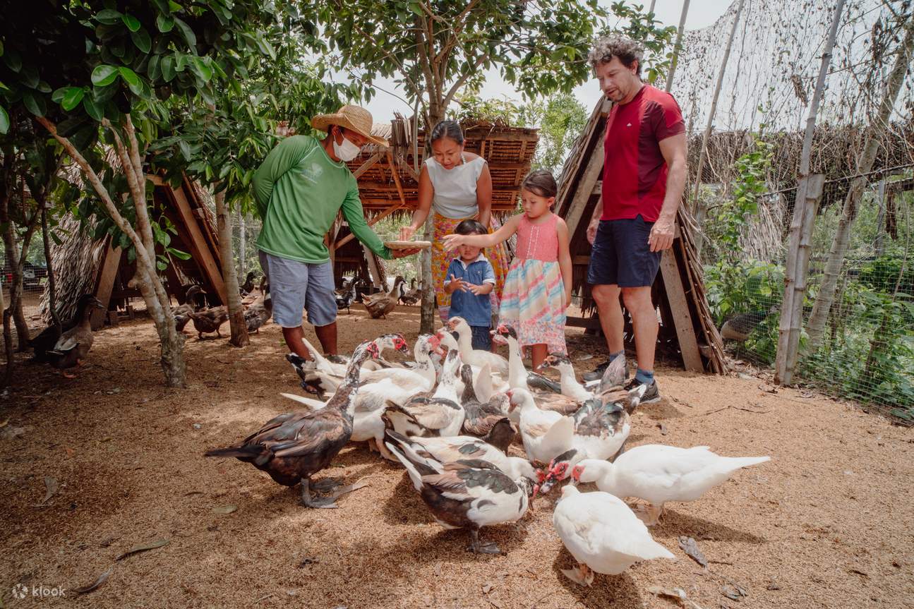 사우스 팜에서 동물 먹이 주기 체험을 즐겨보세요.
