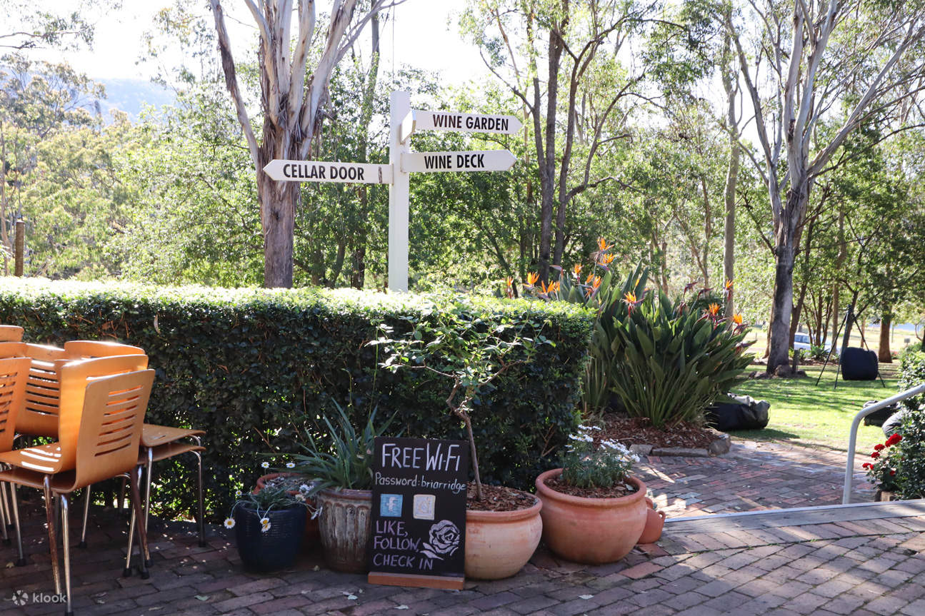 Wine Tasting in Hunter Valley by Briar Ridge 클룩 Klook 한국