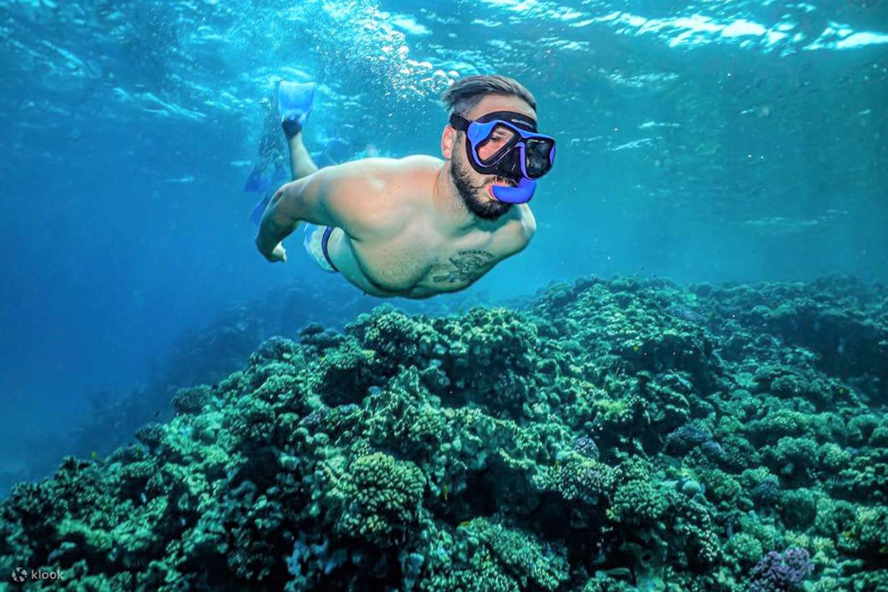 バヤダ島へのボートトリップ