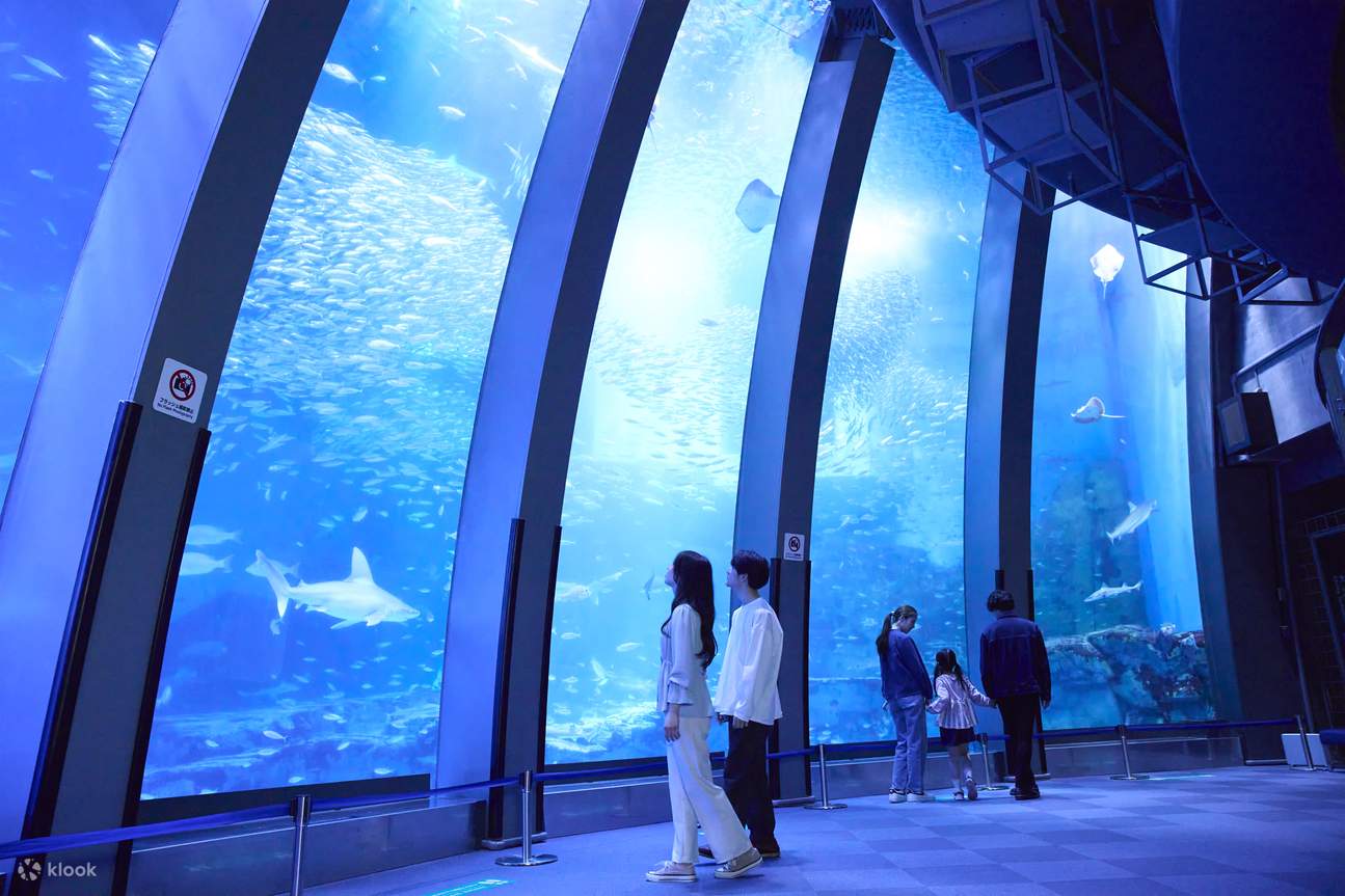 Билет в Yokohama Hakkeijima Sea Paradise