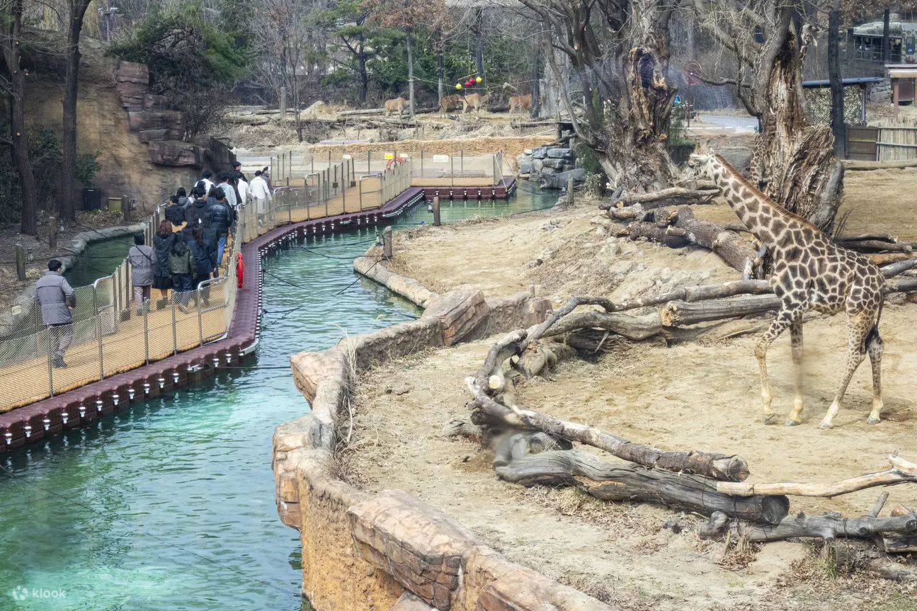 愛寶樂園門票