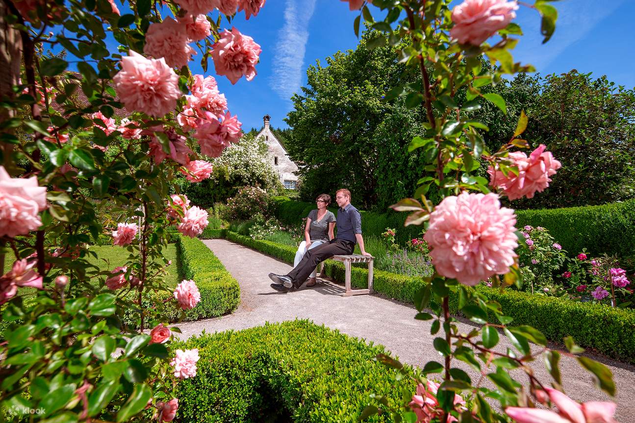 Degustación de vino y queso local en el Monasterio Kartause Ittingen