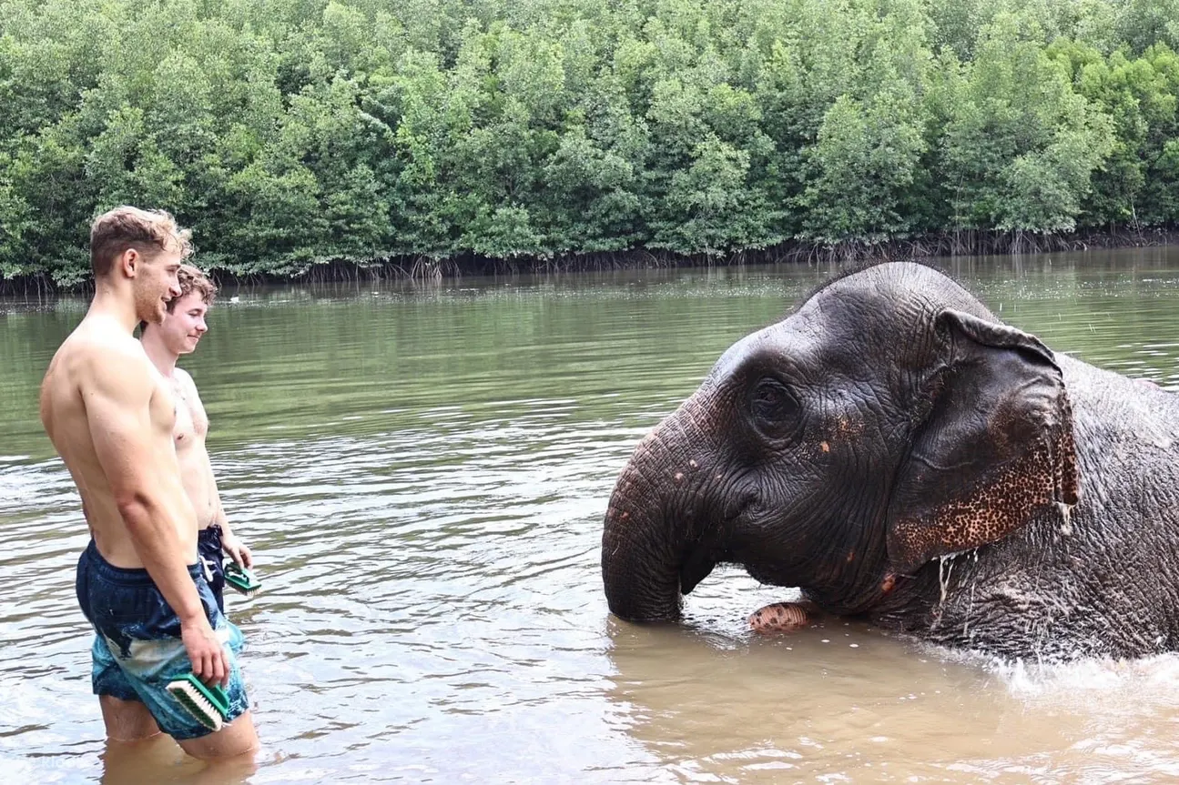 在Elephant Care Park与大象亲密接触，感受大自然