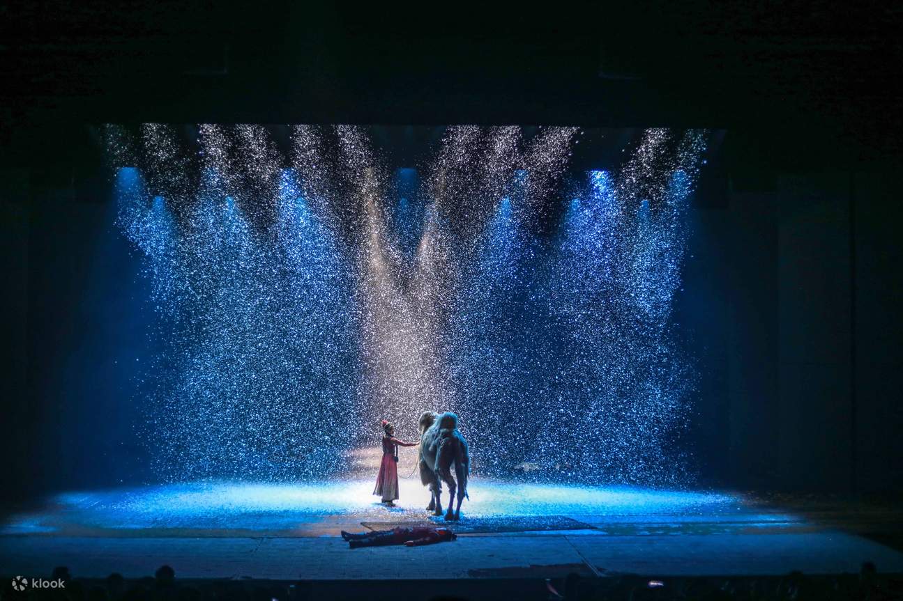 西安のロマンチックショー