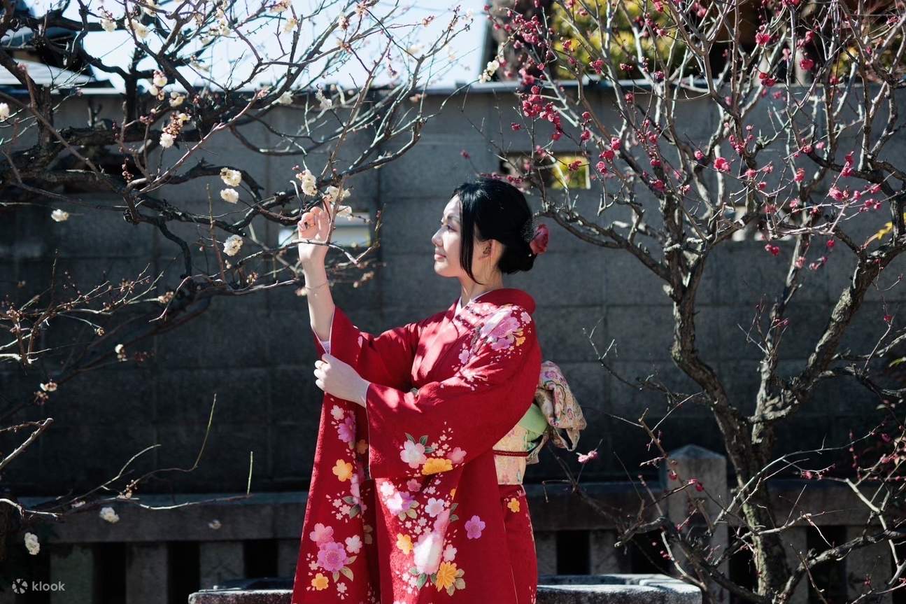 Esperienza di Noleggio Kimono da Wakana Kimono a Kyoto