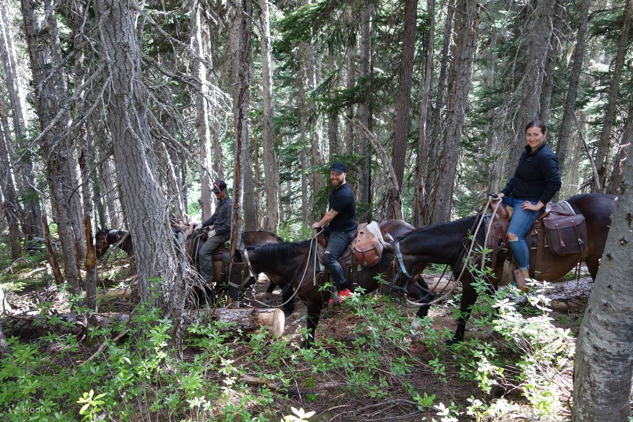 OneHour Pemberton Valley Horseback Riding Experience Klook Canada