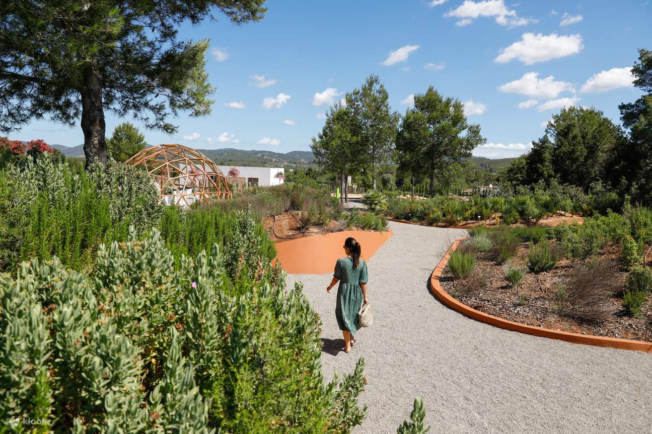 이비사 생명공학 식물원 투어