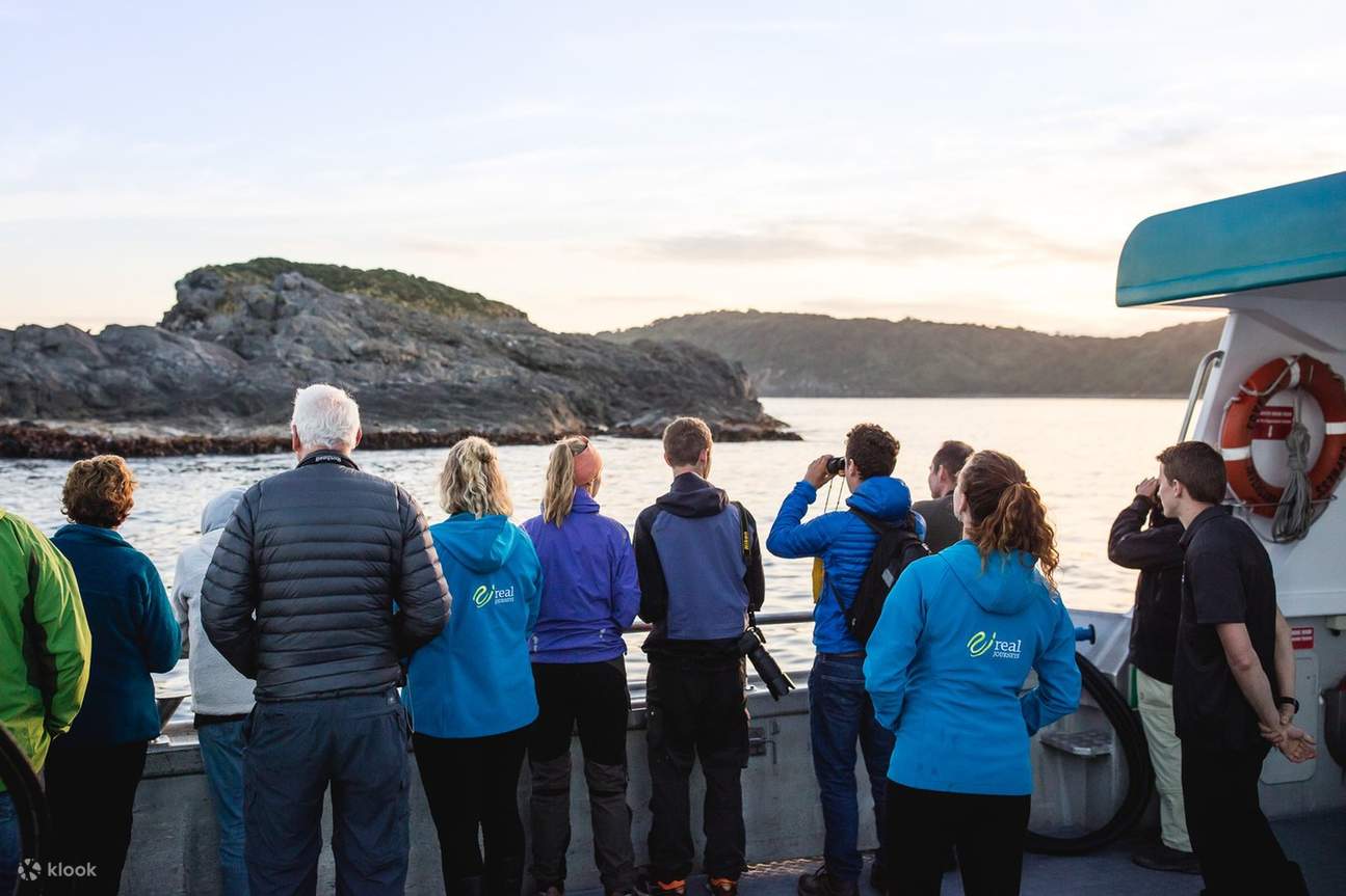 Pertemuan dengan kiwi liar di Stewart Island oleh Real Journeys & Stewart Island Experience