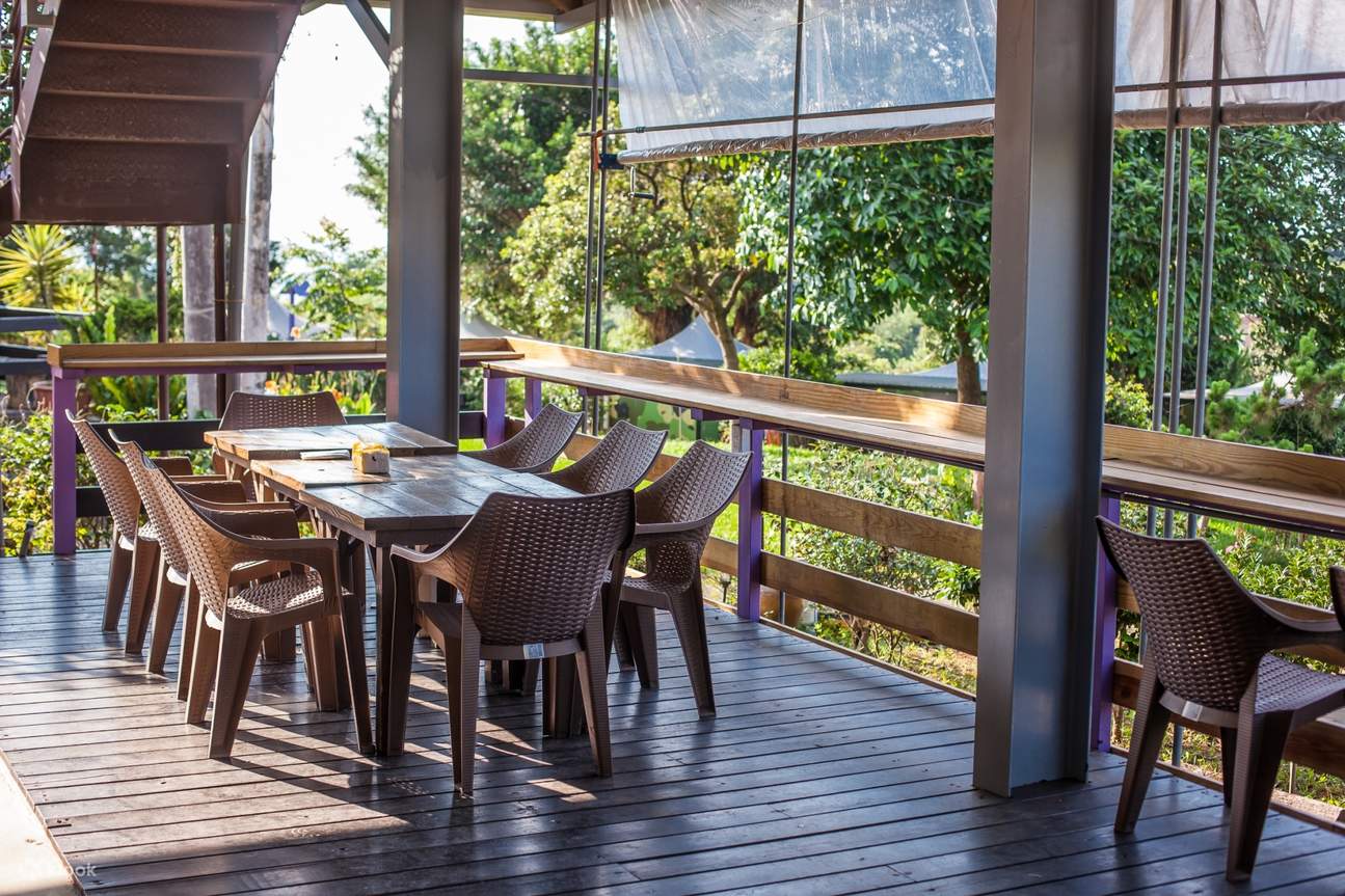 Camping in New Taipei｜Sanzhi Old Farmer Farm｜Tempelzelt・Campingwagen-Erlebnis