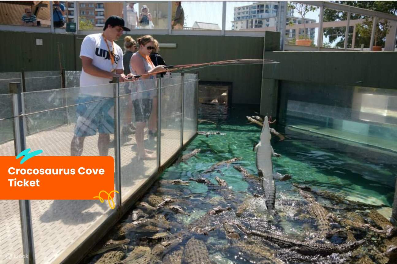 达尔文客路通票