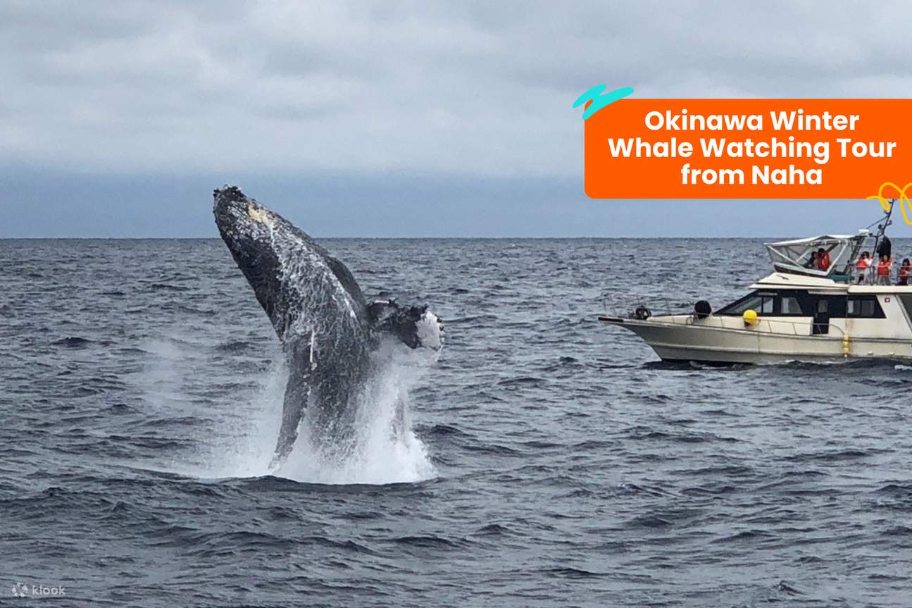 Klook 沖繩景點通票