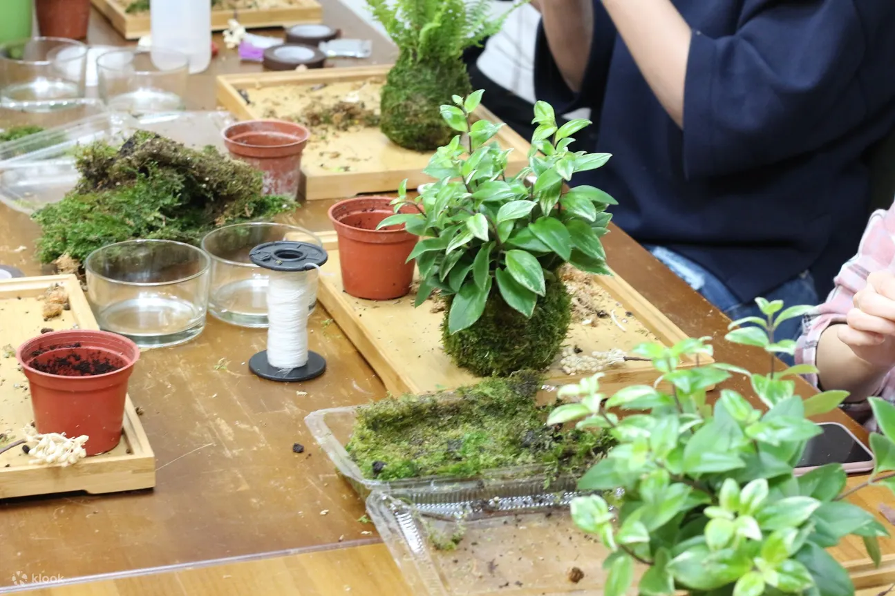 新竹: 原生态四季 植栽花艺DIY体验
