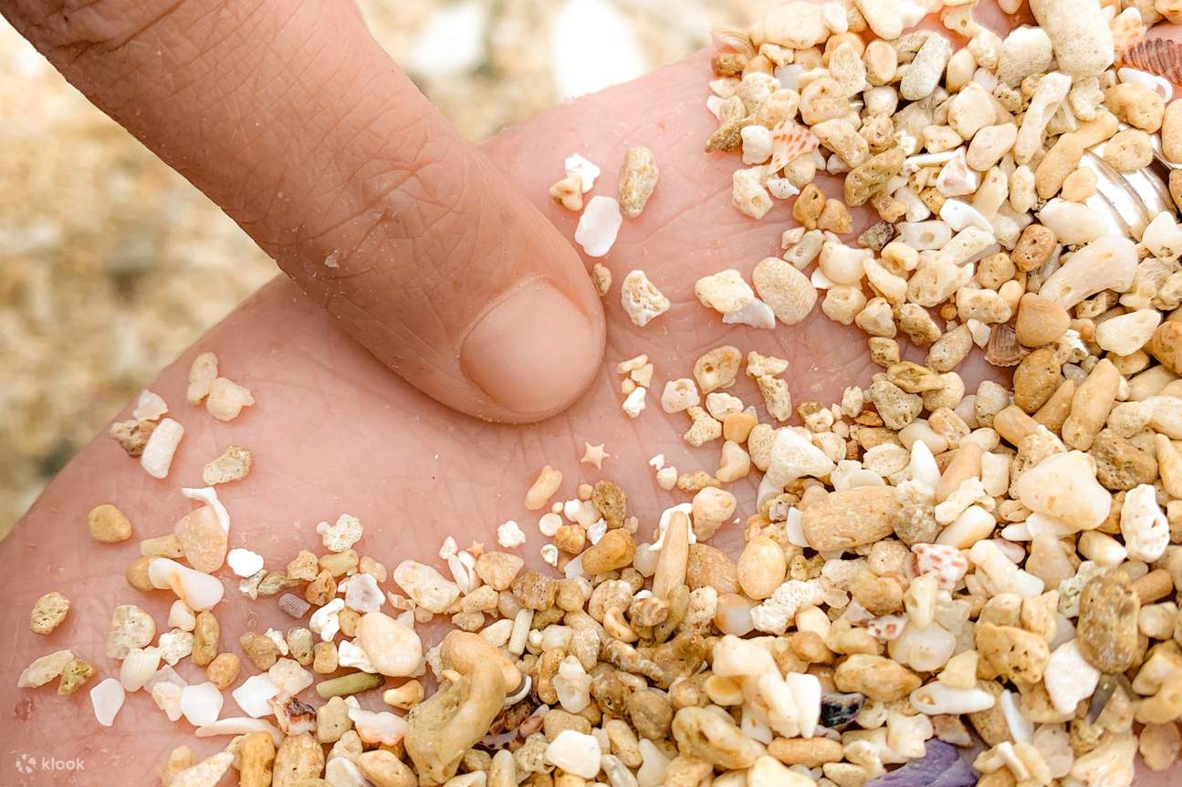 Tour Ngày Trọn Gói Du Thuyền Quanh Rặn San Hô Frankland