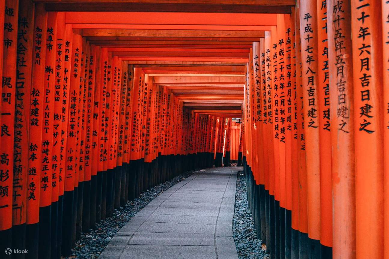 Kyoto Autumn Leaves & Fushimi Inari Taisha Tour with Fox Painting ...