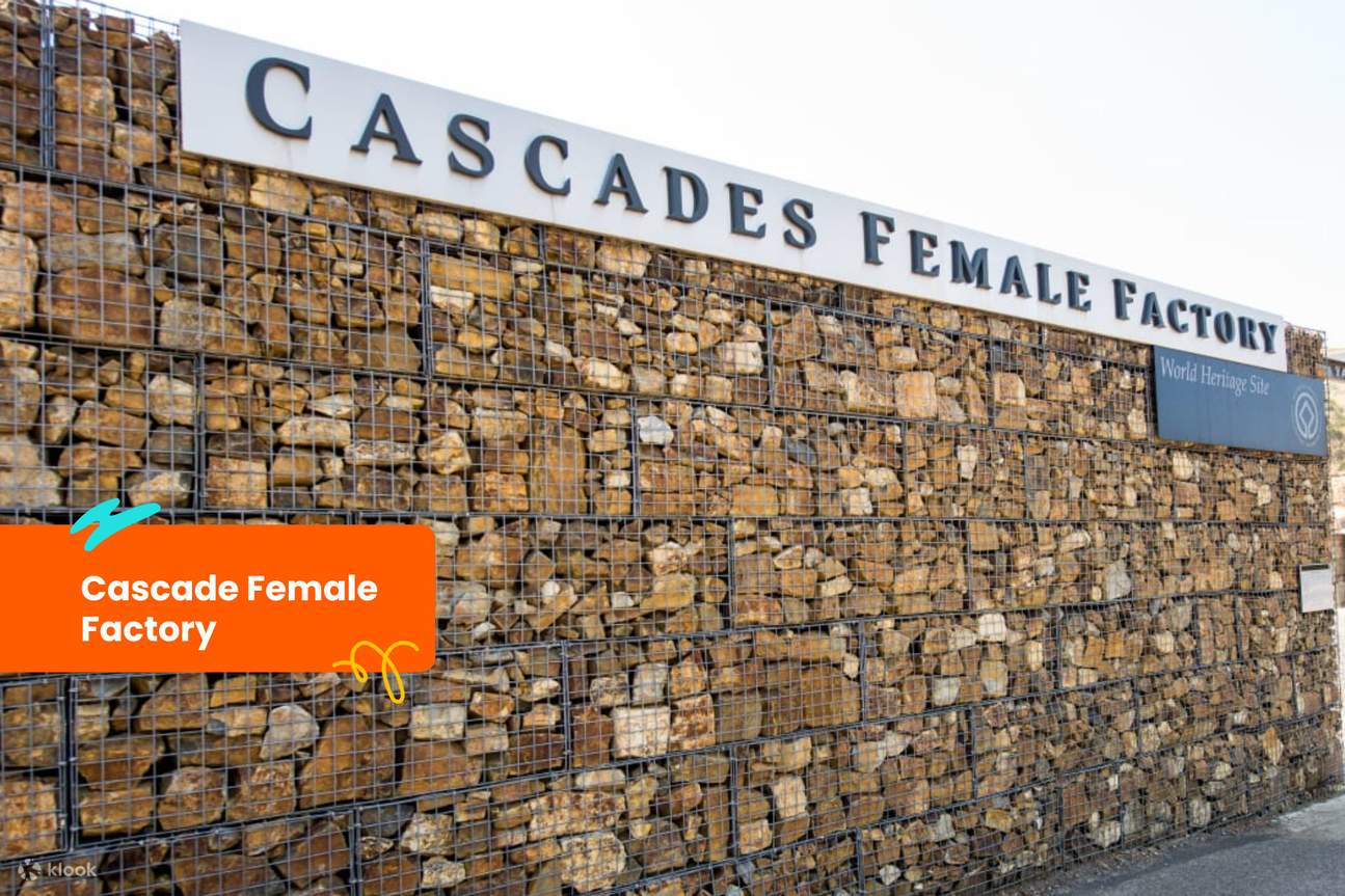 Женская фабрика