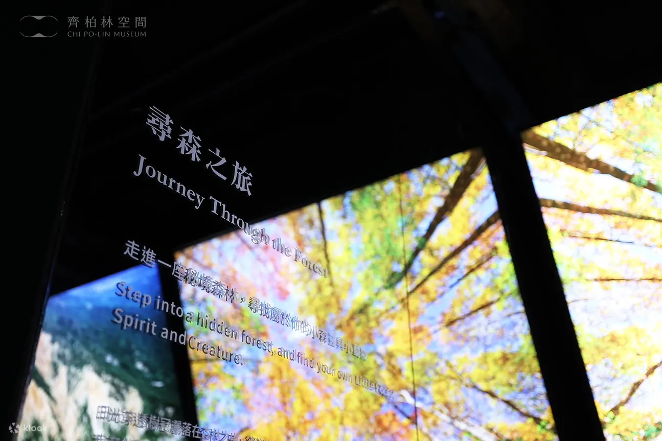 齐柏林空间门票