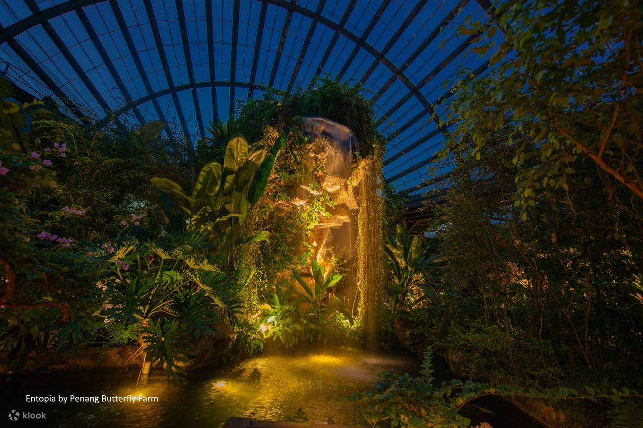 Billet pour Entopia by Penang Butterfly Farm