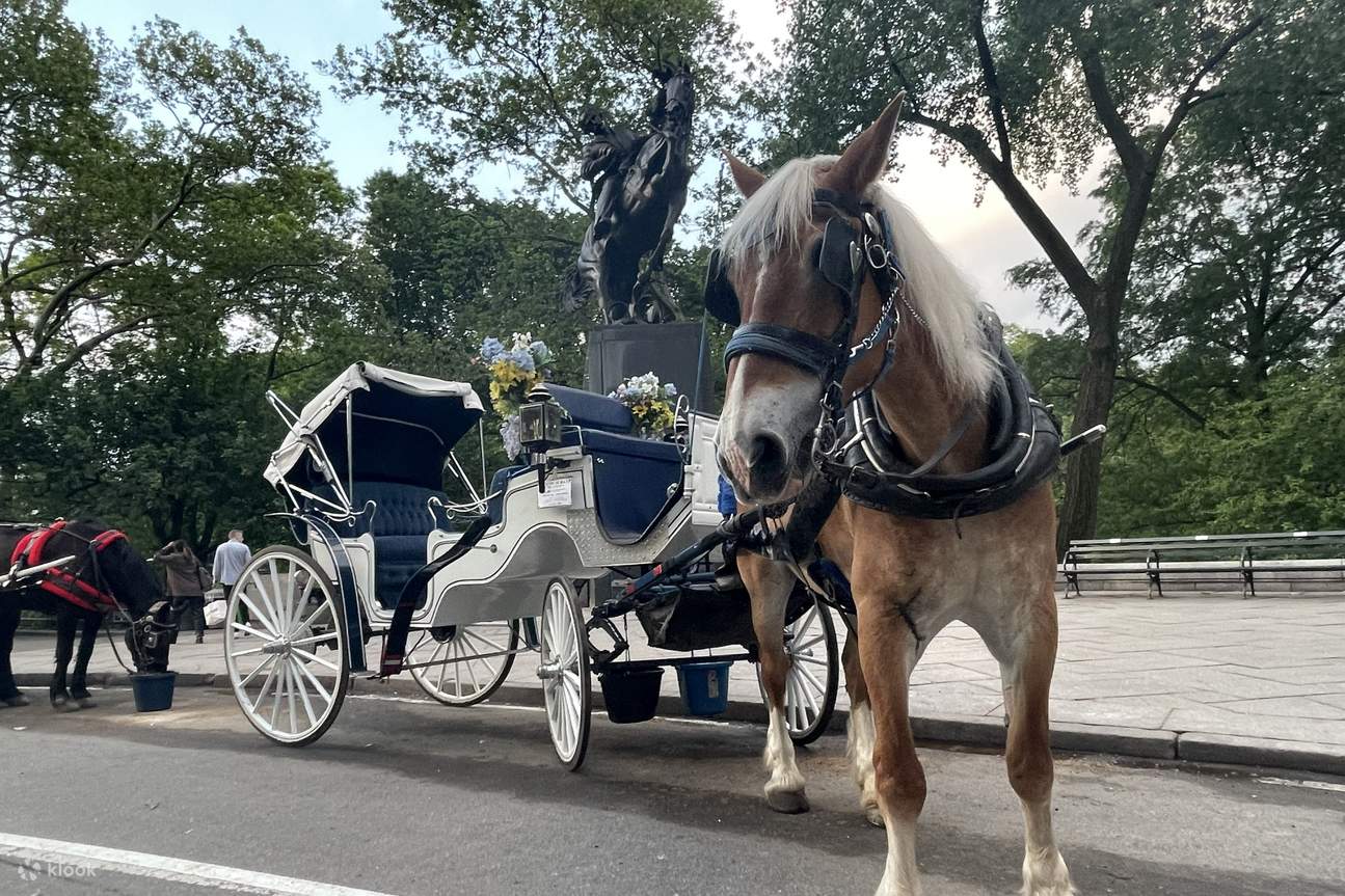 45-Minute Private Central Park Popular Horse Carriage Ride in New York ...