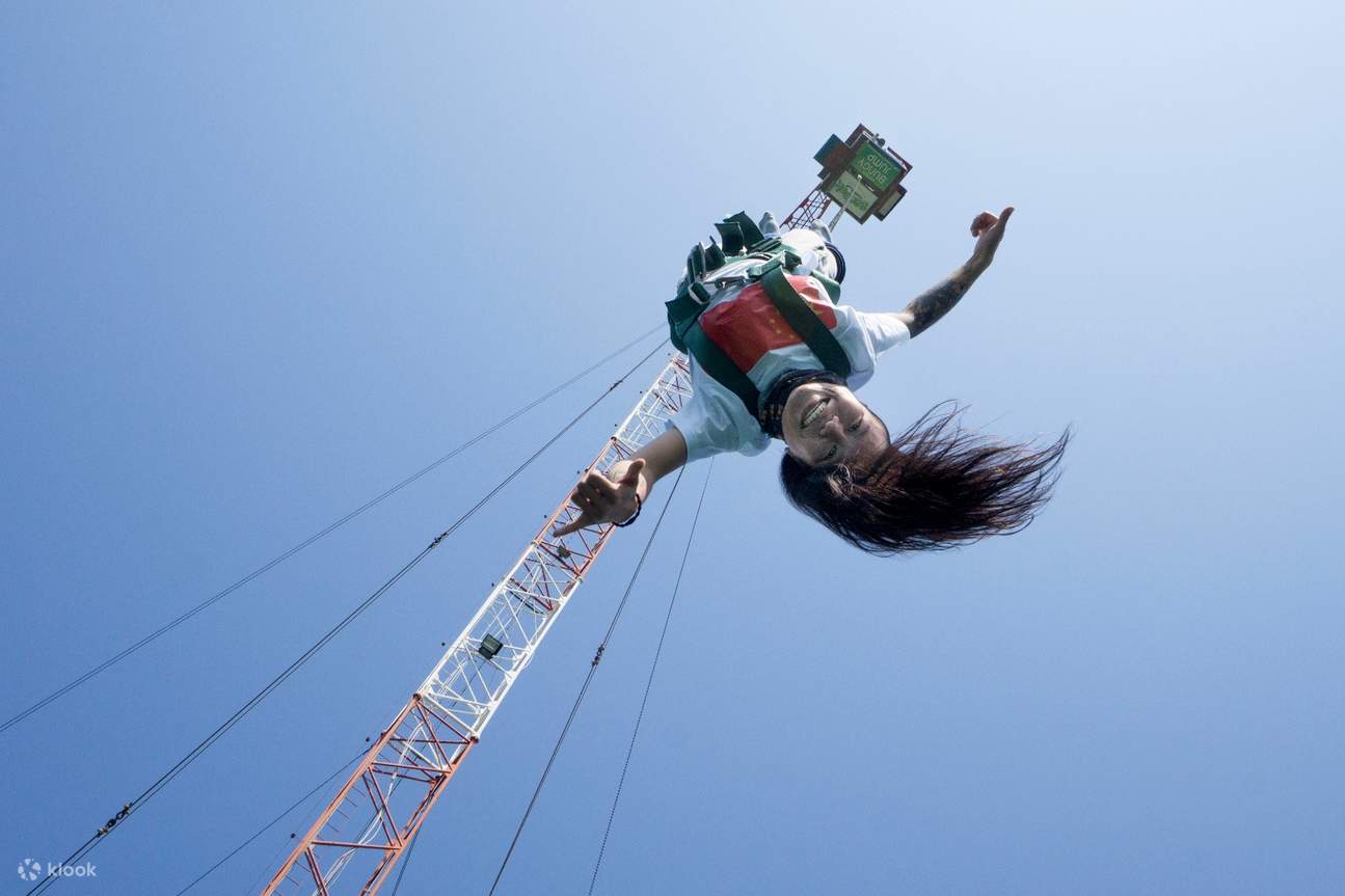 Bungee slingshot cheap