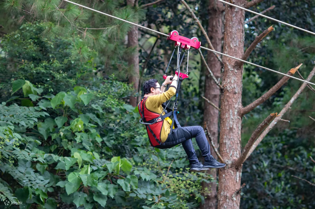 Datanla Da Lat 滑索体验