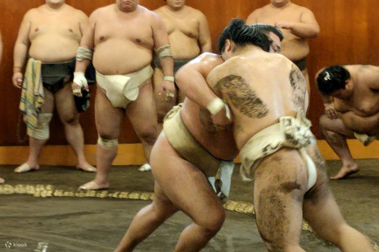 Sumo Morning Training Visit - Klook United States