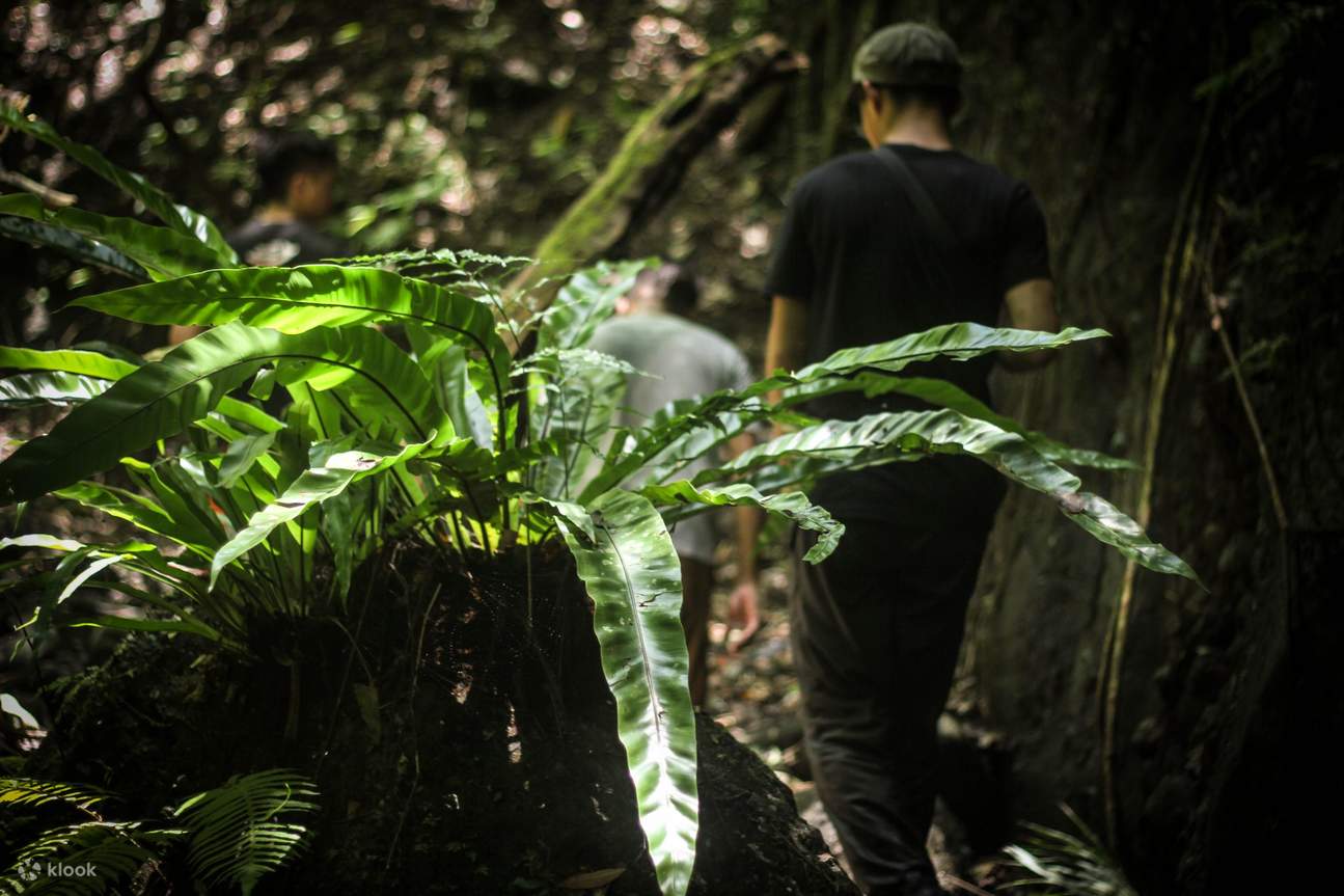 天使溪での沢歩き