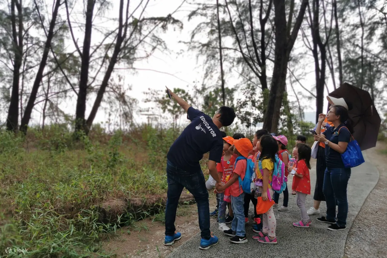 新加坡自然漫步