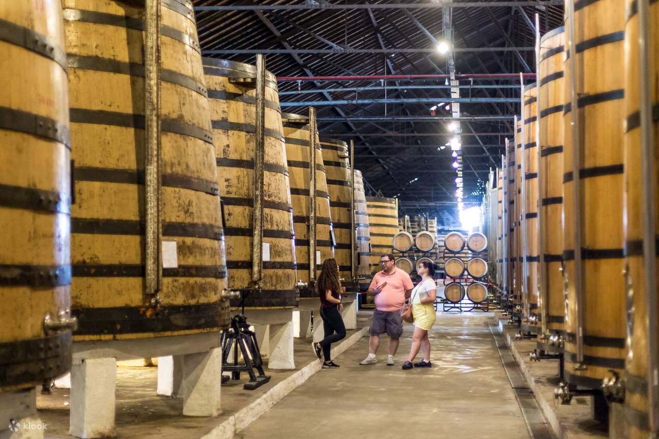 V7T7V7 Filtri al solfito di vino per rimuovere solfiti e istamina, eliminare il mal di testa, purificatore a bacchetta di vino riduce le allergie al vino, regali per feste d'amore per uomini