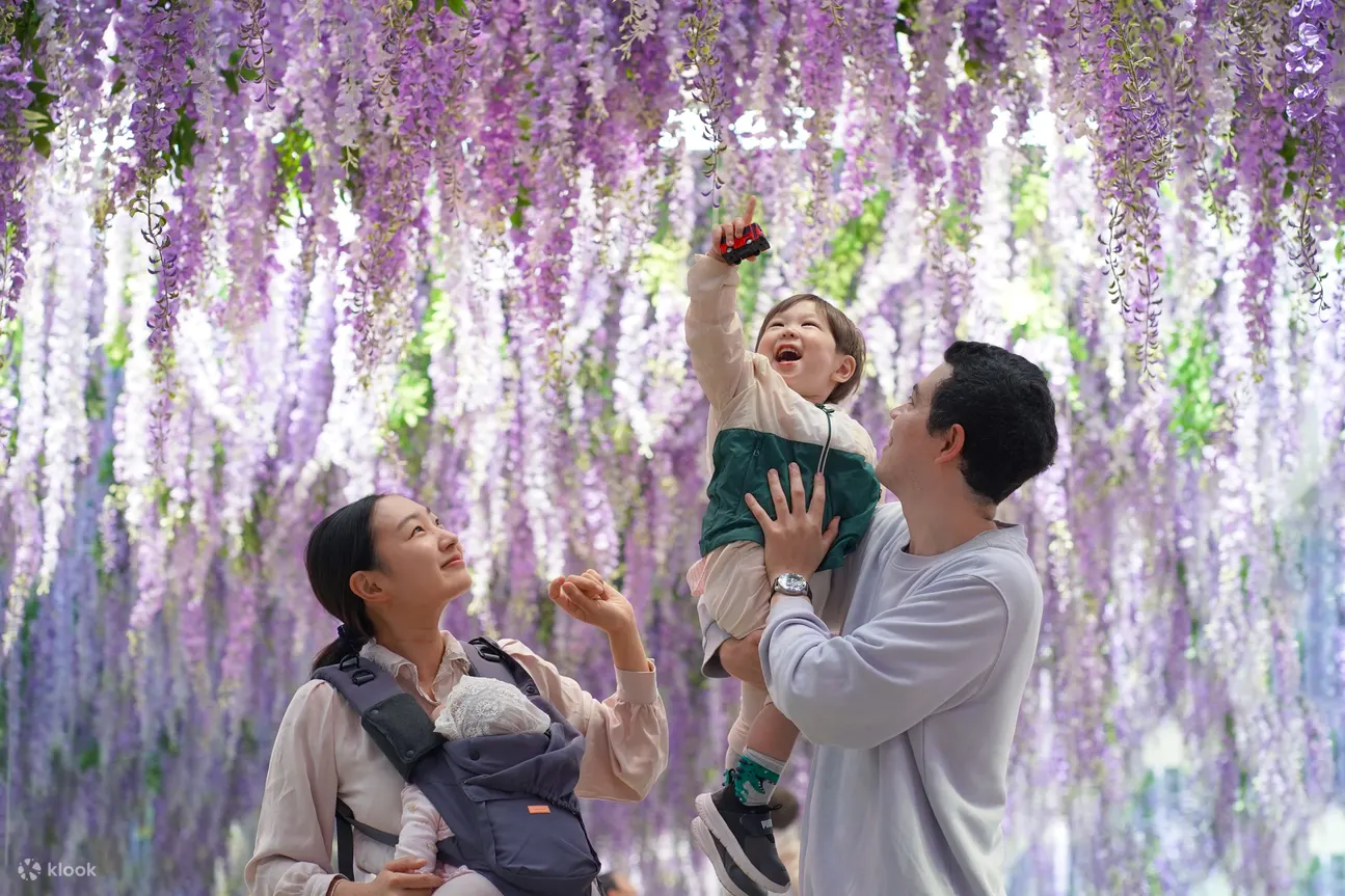 秋海棠鸟园门票（花园，羊驼）京畿道加平市