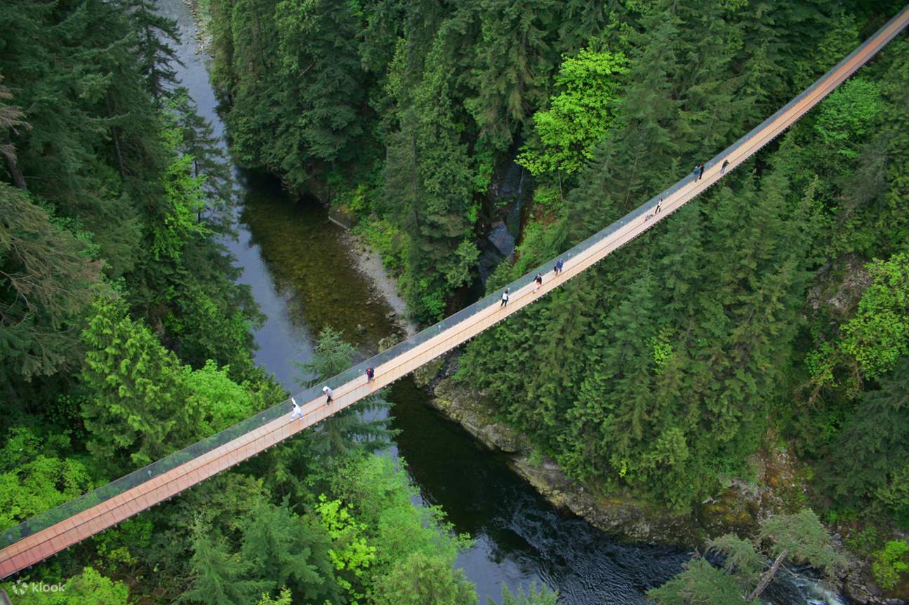 2020卡佩兰奴吊桥公园-旅游攻略-门票-地址-问答-游记点评，温哥华旅游旅游景点推荐-去哪儿攻略