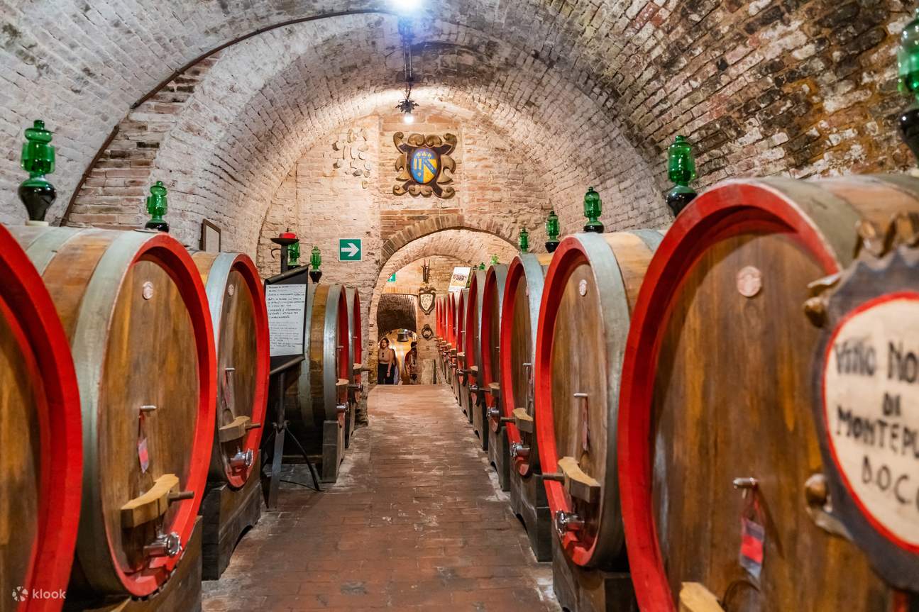 From Siena: Best of Tuscany Wines & Lunch in Montepulciano - Klook