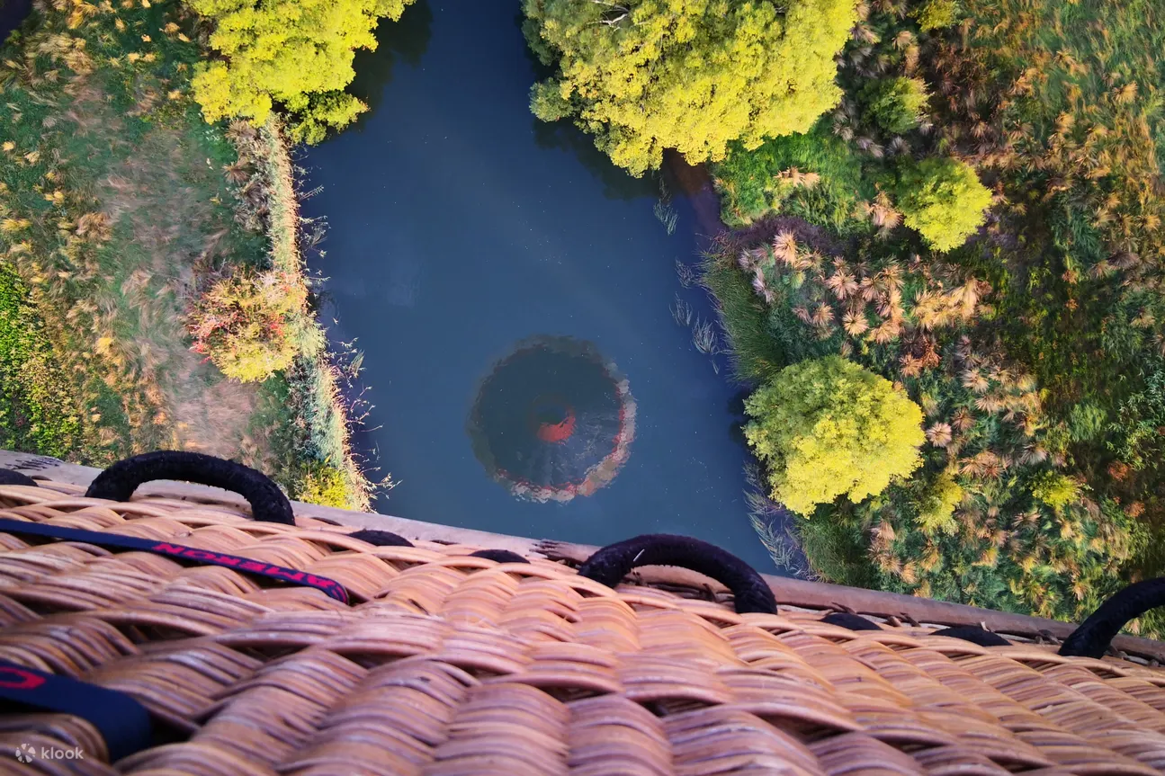 滑翔在天空