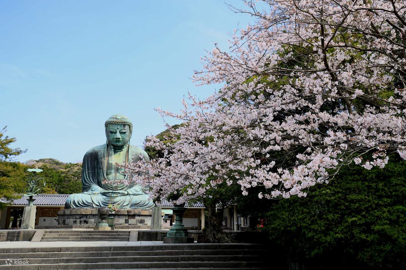 日本镰仓周游券