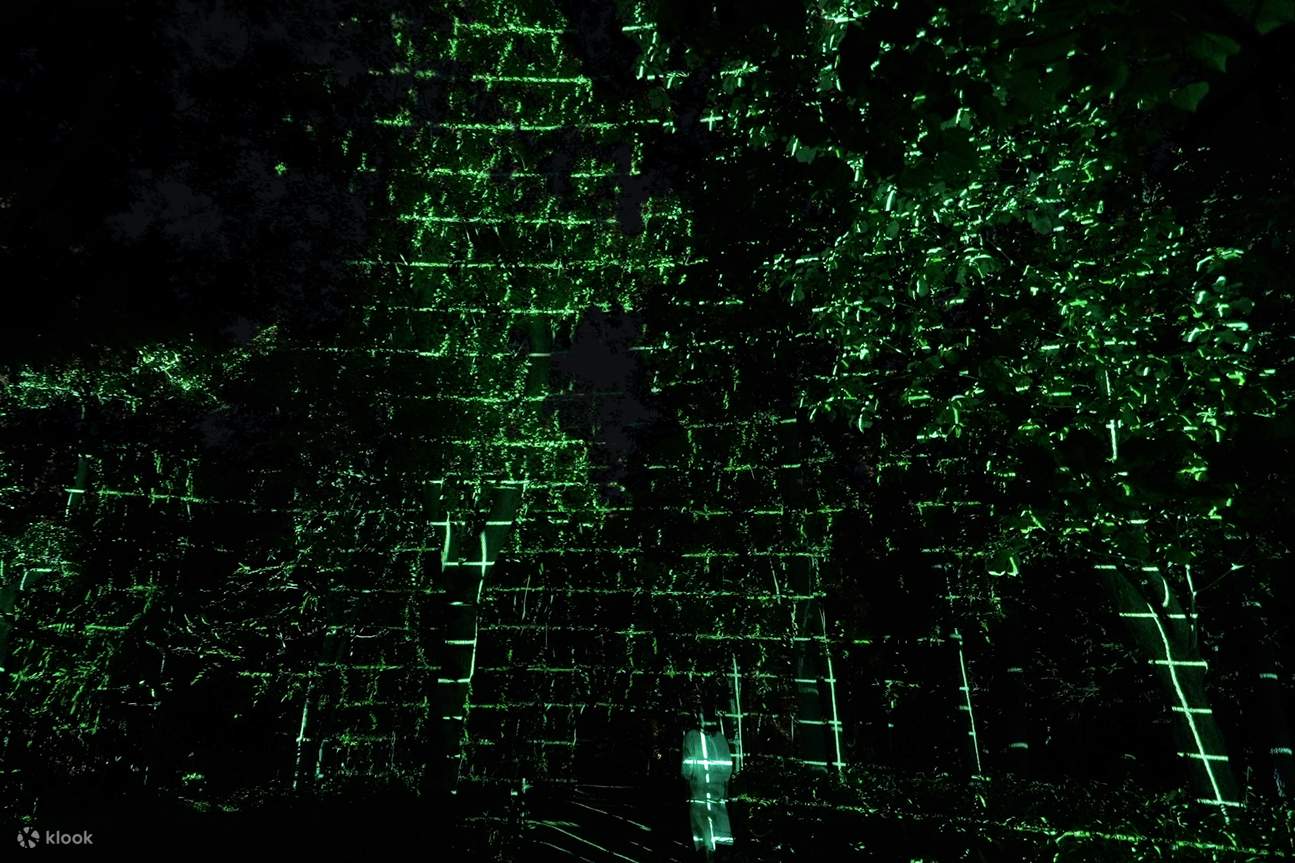 teamLab Botanical Garden Osaka