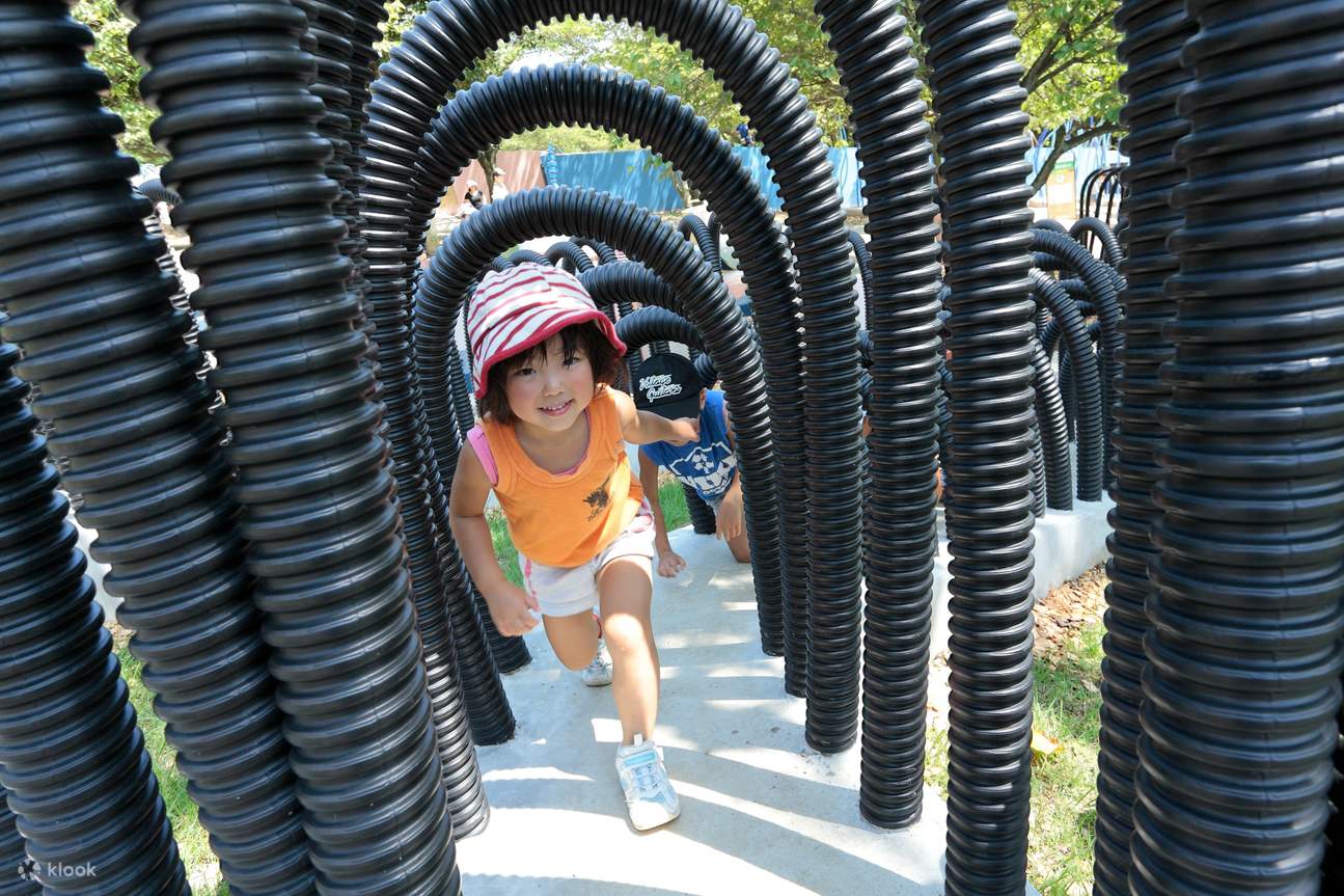 가나가와 사가미호 플레저 포레스트 입장권