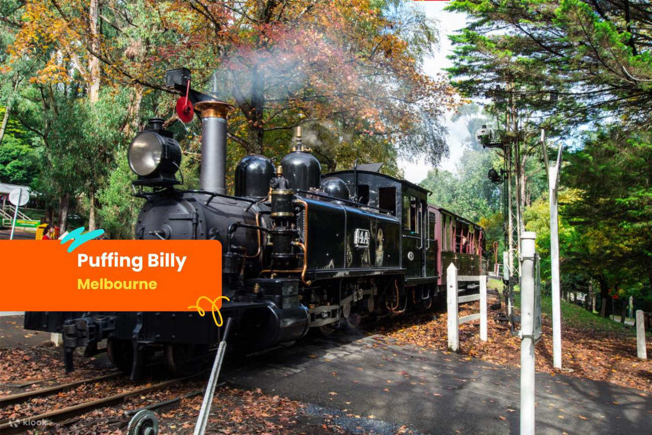 Puffing Billy dan Healesville Sanctuary