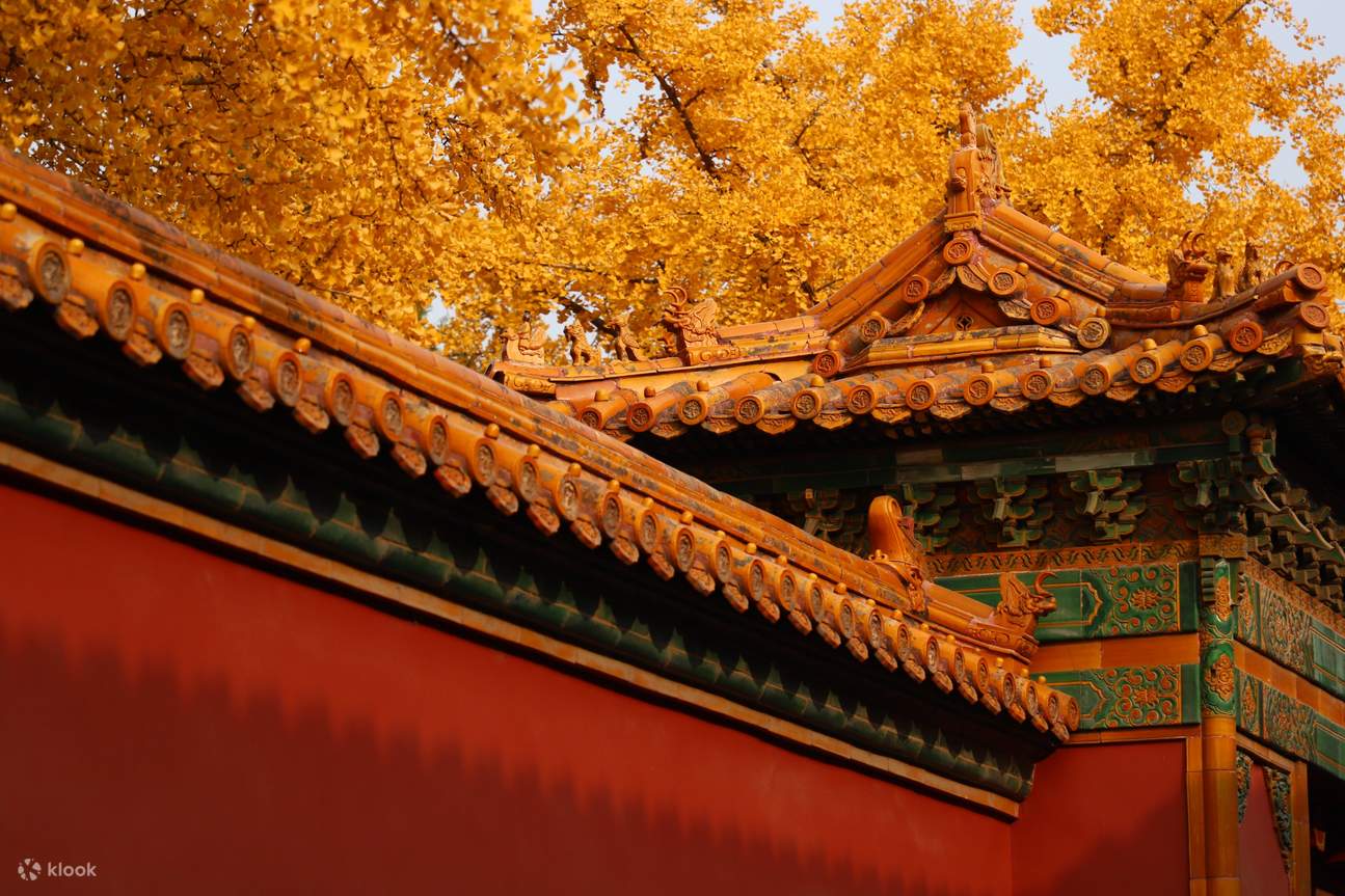 Beijing Palace Museum Autumn View