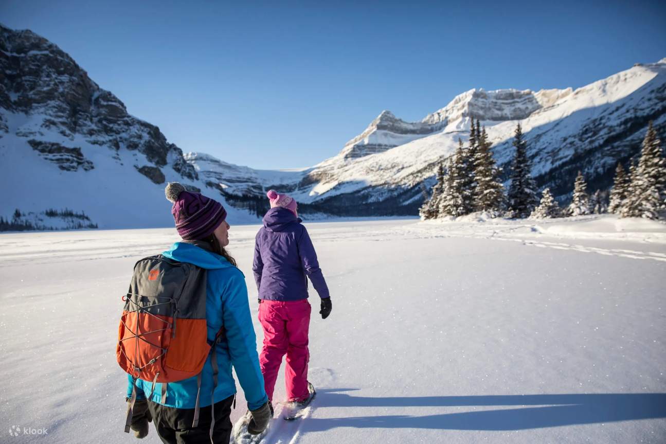 Winter Wonderland Tour at Lake Louise and Johnston Canyon in Banff ...