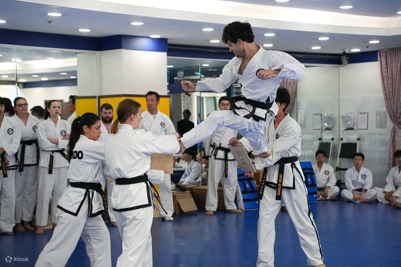 Authentic Taekwondo Class in Ilsan Gyeonggi near Seoul - Klook