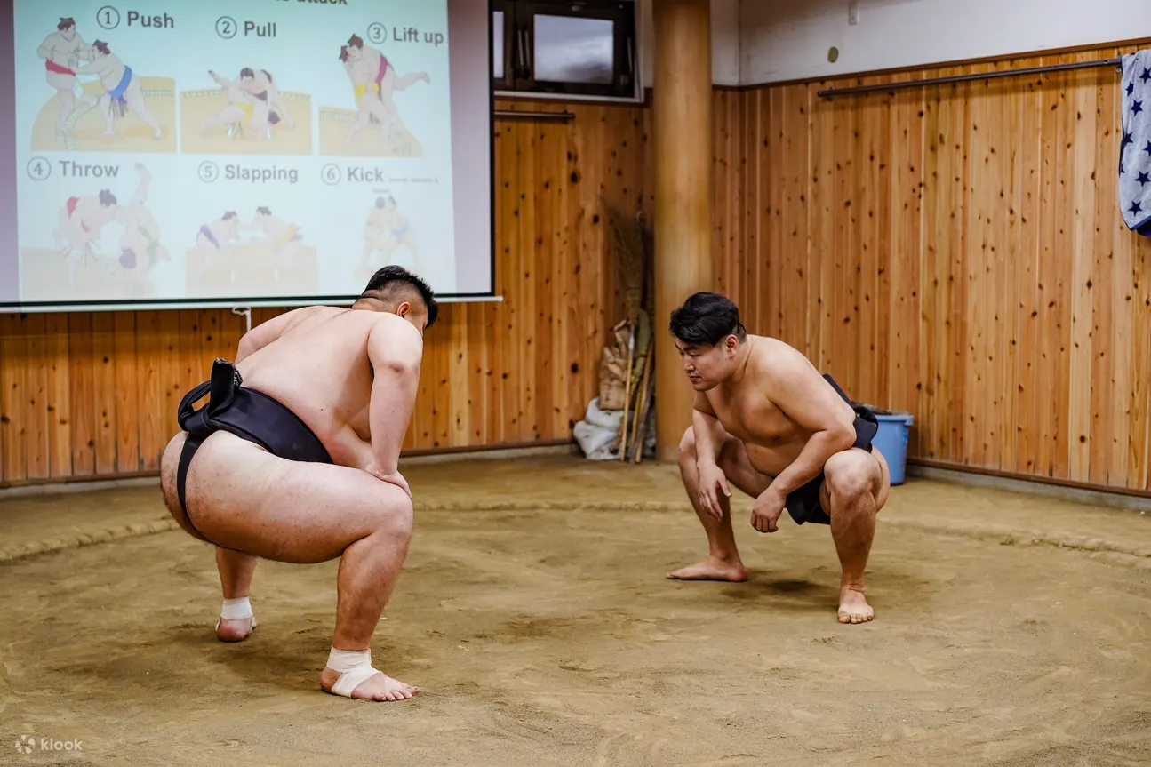 东京正宗相扑体验：进入庇护所