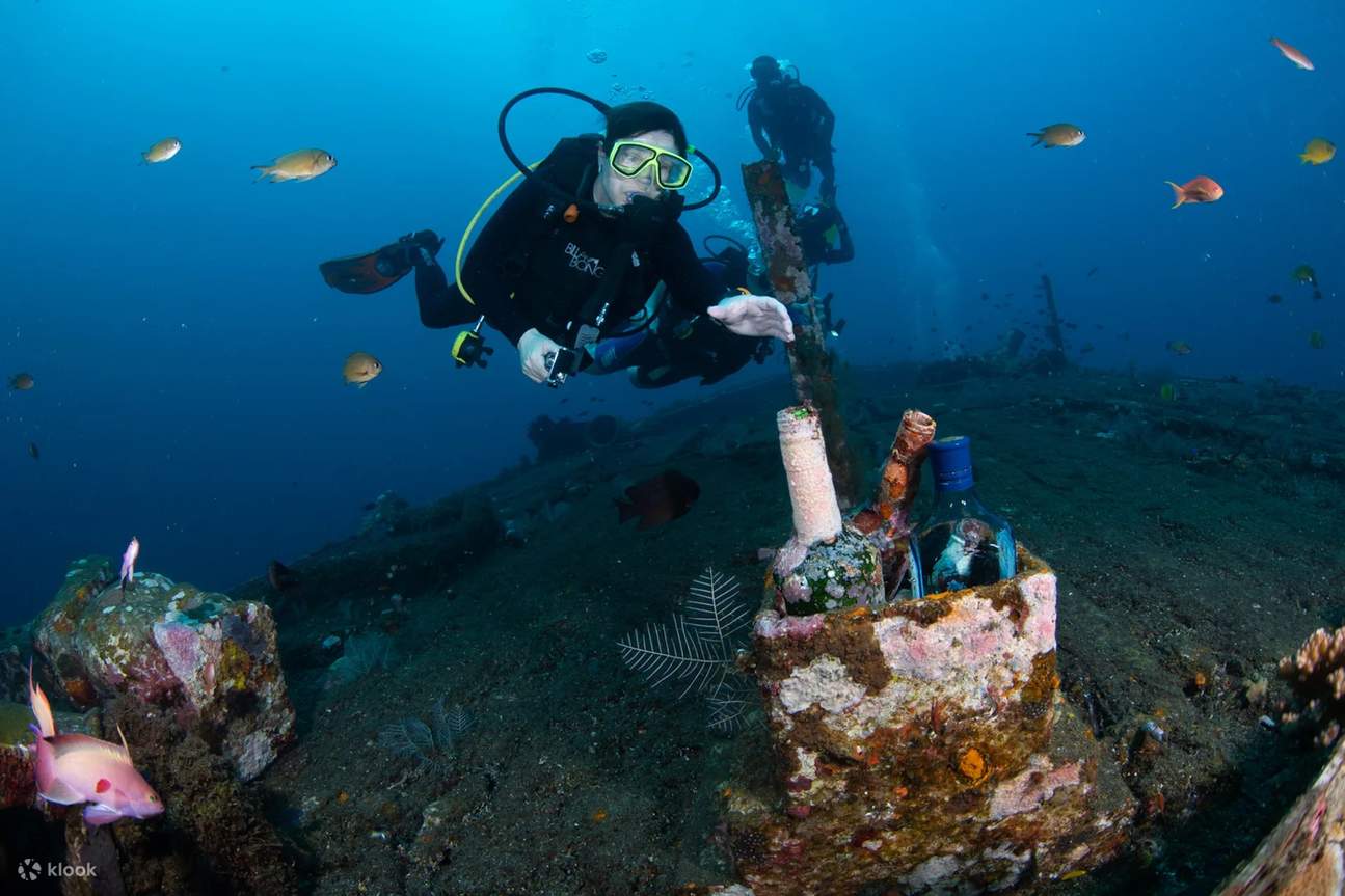 Пади Бали, Дейве, затонувший корабль и морская жизнь