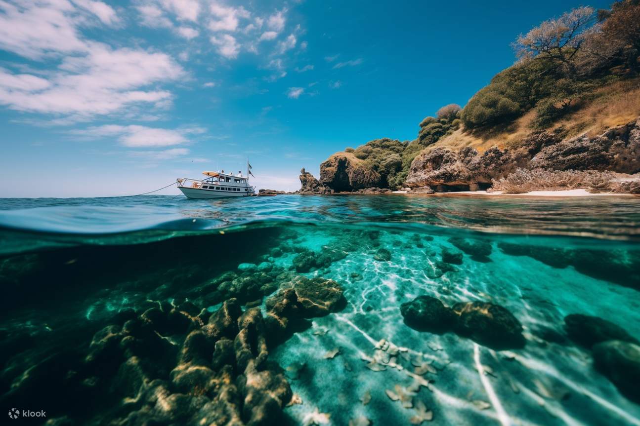 Explore the Underwater Wonders with Our HalfDay Snorkeling Trip in