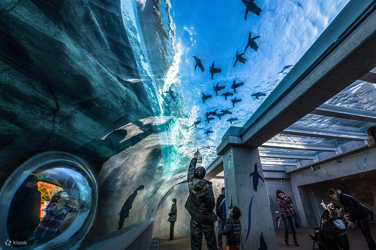 Jardin botanique de Kujukushima Mori Kirara